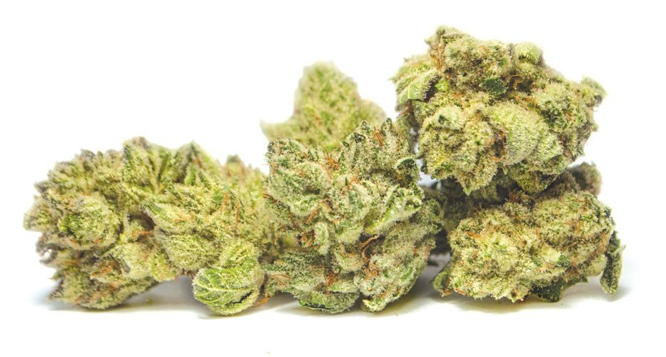Gorilla-Glue.jpg