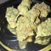Buy Jack Herer Online