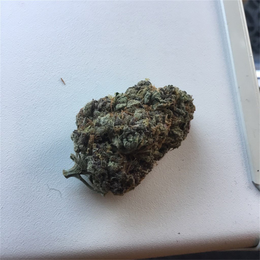 Purple-Kush.jpg